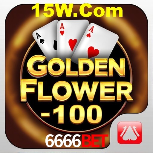 Interface Premium 6666bet